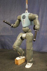 Blue_COMAN_robot_standing_proudly_at_IIT