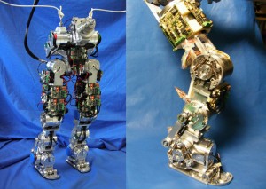 COMAN robot (cCub) compliant legs
